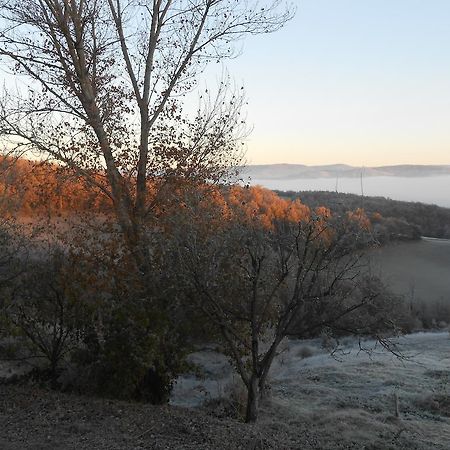 Gite Des Monts Saint-Izaire Zewnętrze zdjęcie