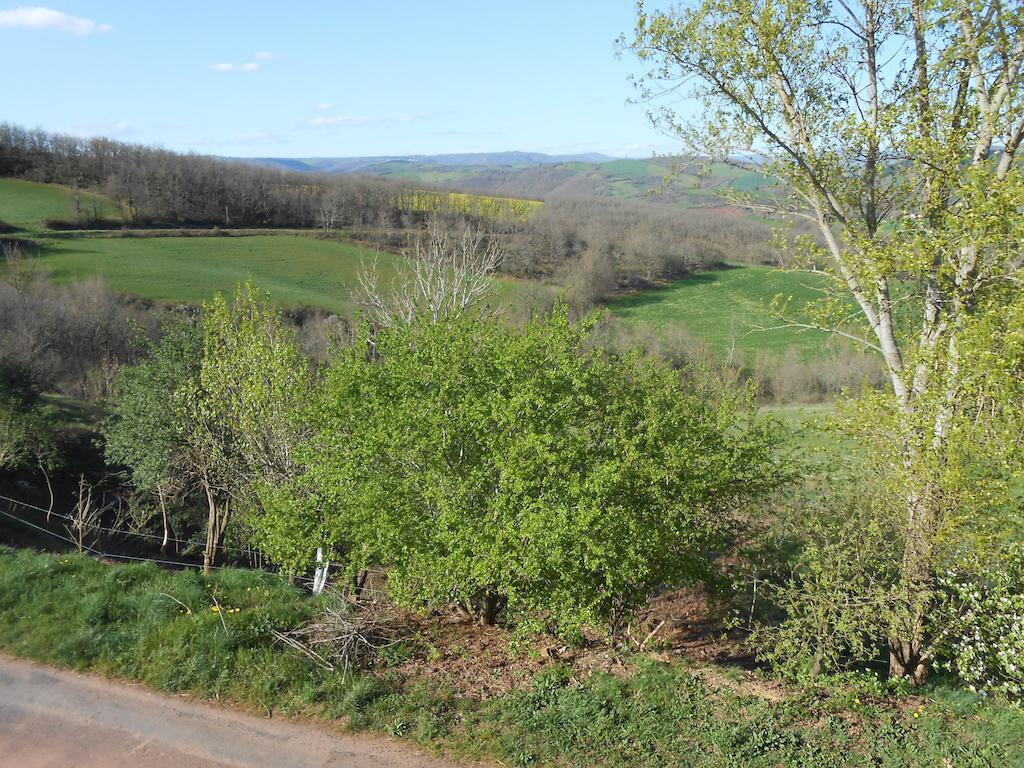 Gite Des Monts Saint-Izaire Zewnętrze zdjęcie