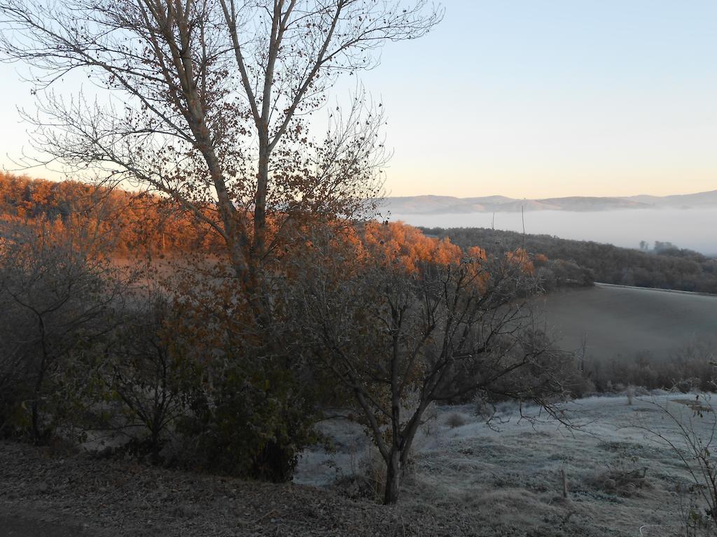 Gite Des Monts Saint-Izaire Zewnętrze zdjęcie