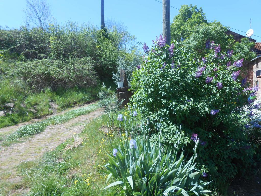 Gite Des Monts Saint-Izaire Zewnętrze zdjęcie