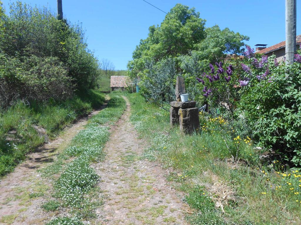 Gite Des Monts Saint-Izaire Zewnętrze zdjęcie