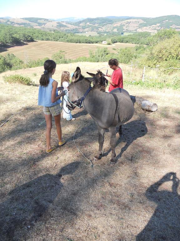 Gite Des Monts Saint-Izaire Zewnętrze zdjęcie