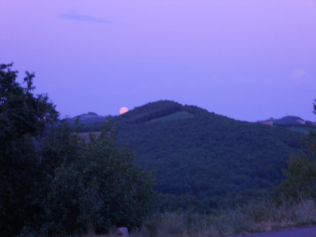 Gite Des Monts Saint-Izaire Zewnętrze zdjęcie