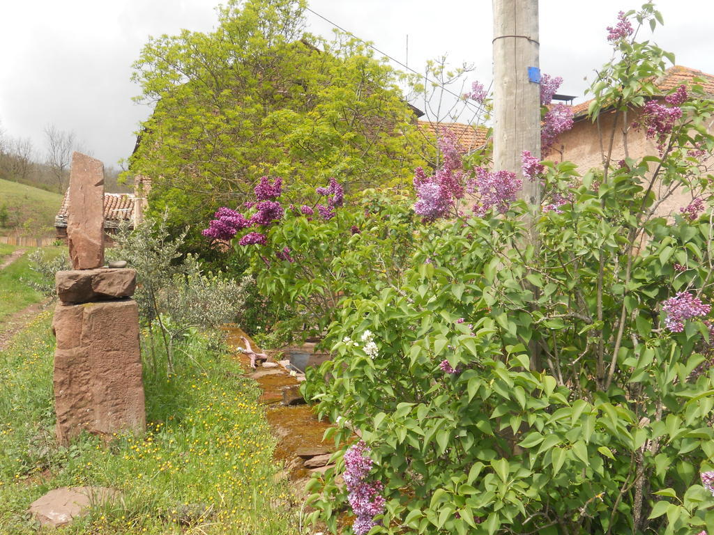 Gite Des Monts Saint-Izaire Zewnętrze zdjęcie