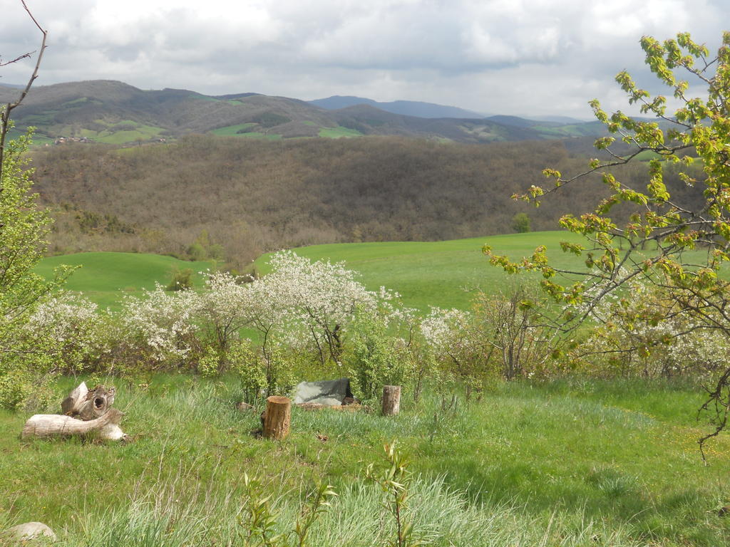Gite Des Monts Saint-Izaire Zewnętrze zdjęcie
